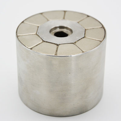 Plastic Overmolded 8 Poles Magnetic Rotor