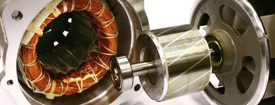 Motor Injection Rotor Neodymium Magnetic Assembly ROHS REACH Certification